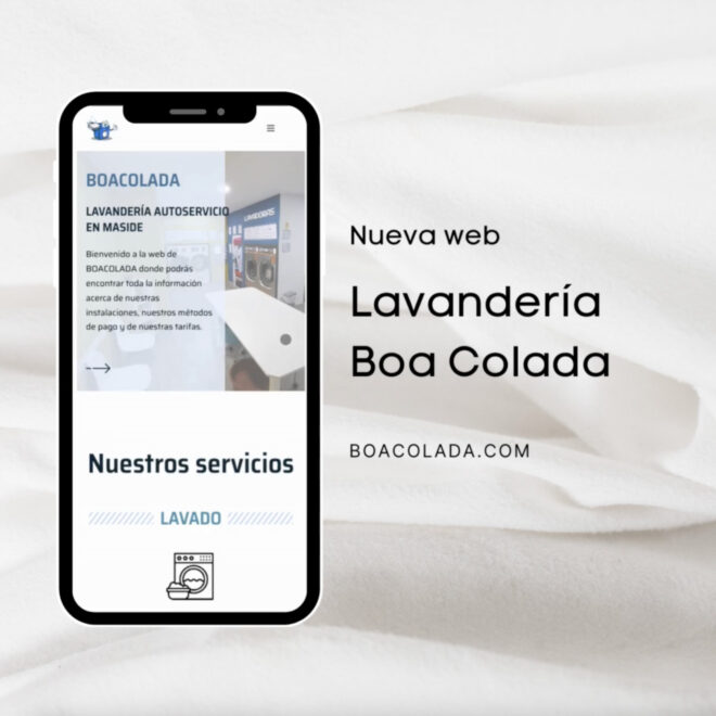 web para lavanderia