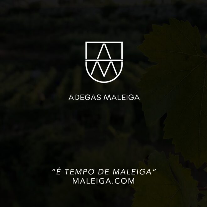 diseño-web-bodega-galicia