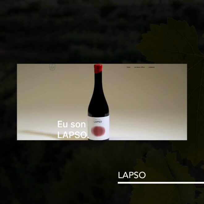 empresa-desarrollo-web-ourense-vino